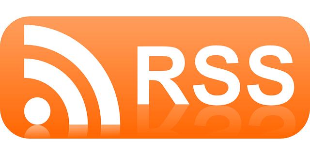 File:Rss-40674640.png