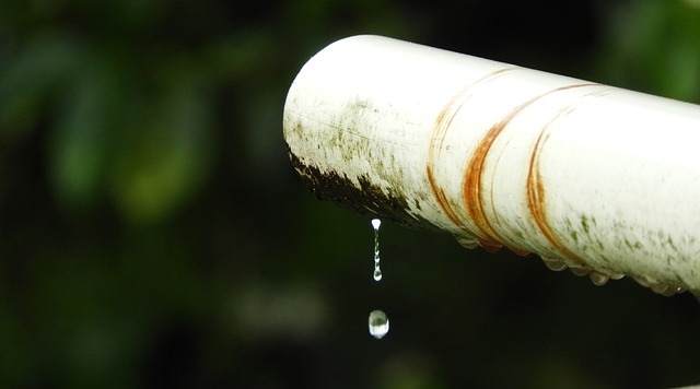 File:Strange-leak12312.jpg