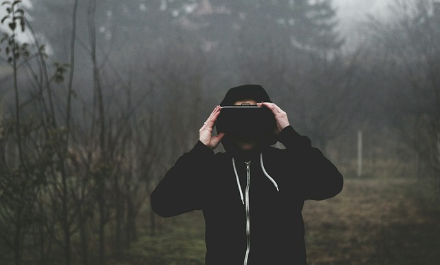 File:Virtualll.jpg