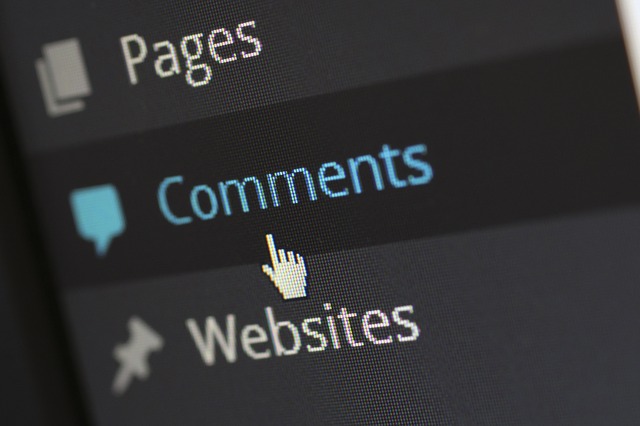 File:Commentspolicy23234.jpg