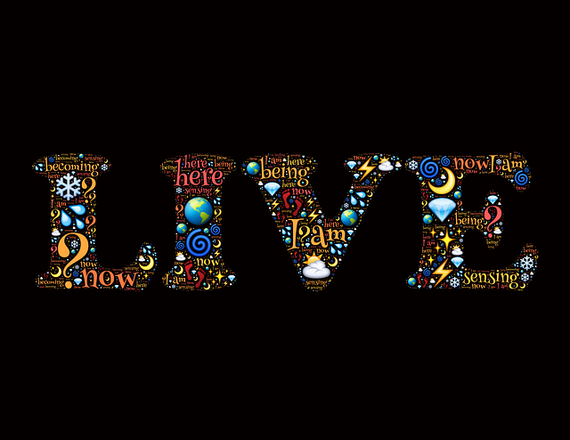 File:Hostlive.png