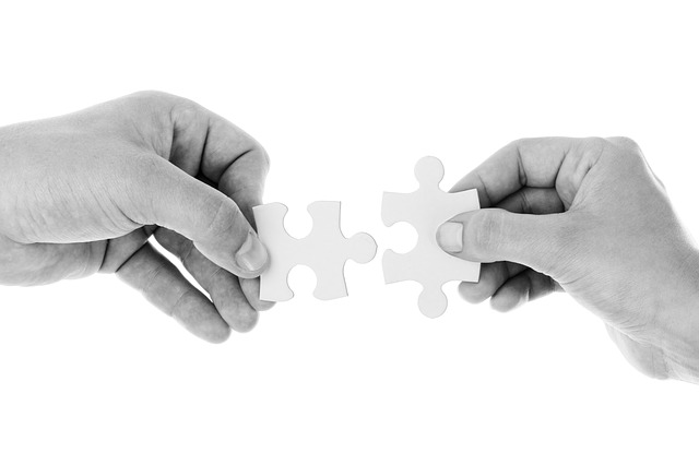 File:Connect-20333640.jpg
