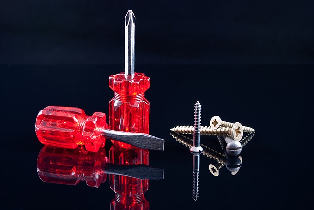 File:Screwdrivers-1073515640.jpg