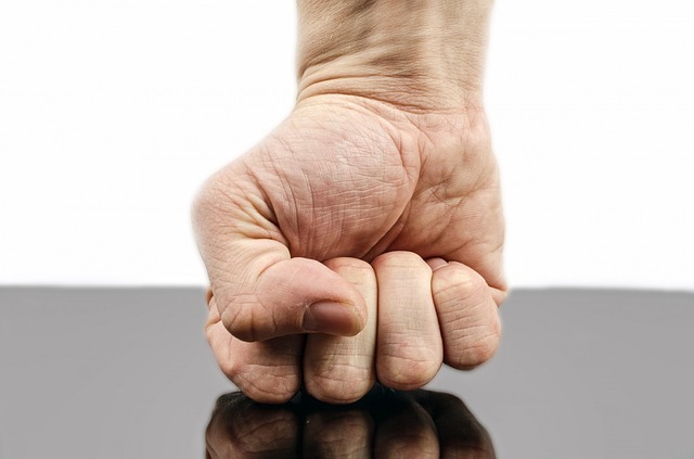 File:Whonixcheckhard.jpg