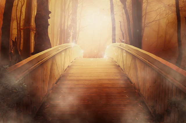 File:Bridge-19513640.jpg